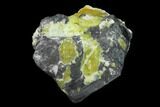 Hematite Crystals in Lizardite & Hydrotalcite - Norway #134001-1